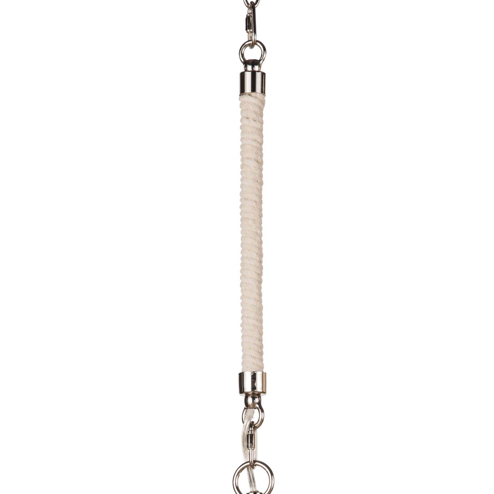 Dover Pendant (Polished Nickel)